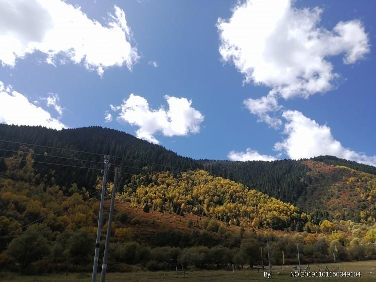 探索工地三个月没发工资怎么办,发现更多乐趣