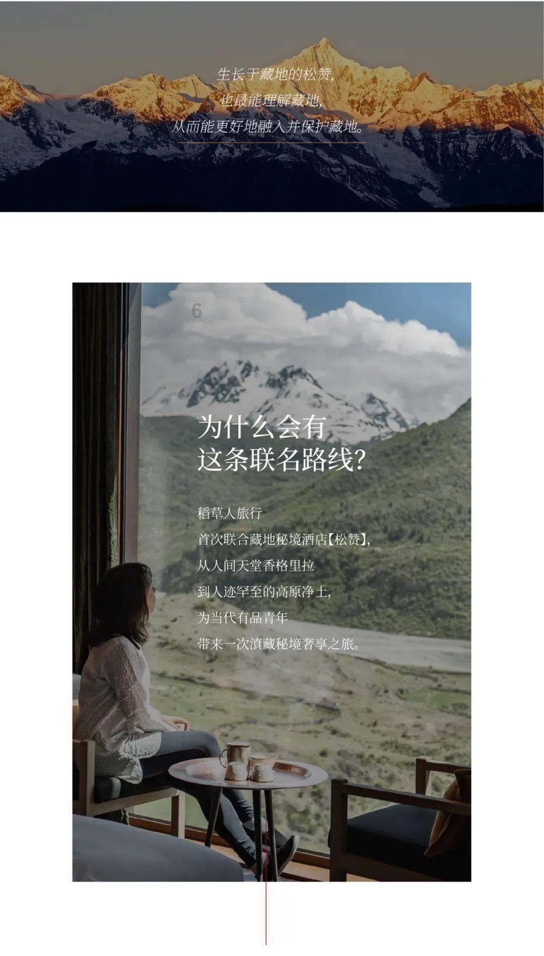 创作猫
