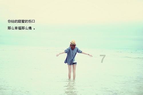 21款传祺m8支持播放wav格式吗知识星球-专业知识分享平台